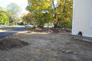 gal/Button House - Restoration/tn_DCP_844.jpg